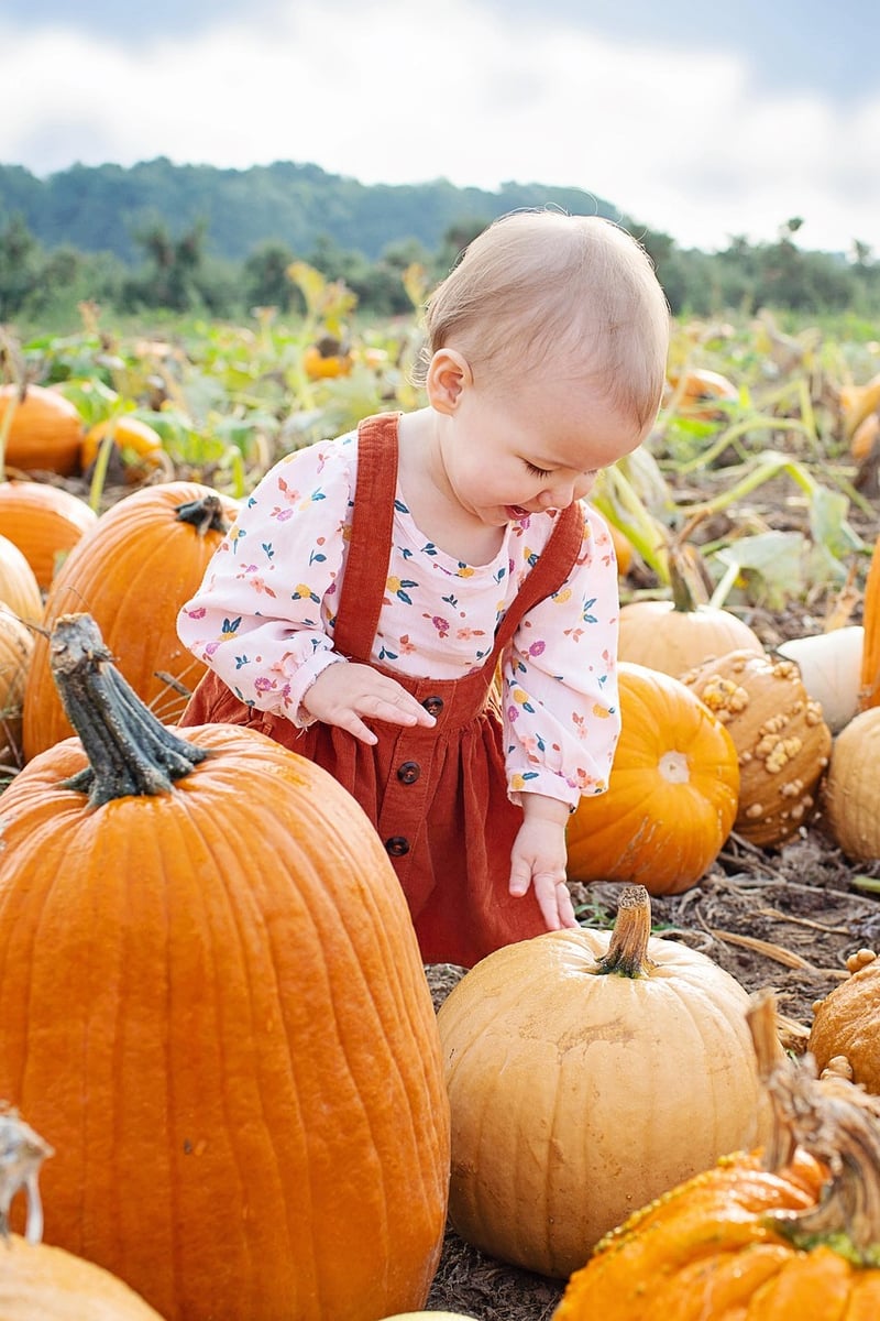 Pumpkin Patch Display